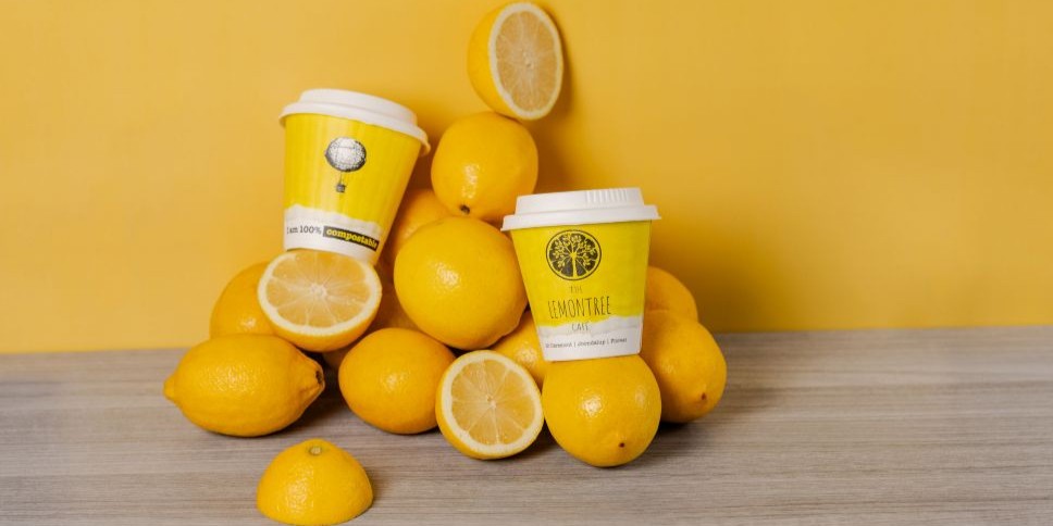 Coffee cups surrounded by oranges